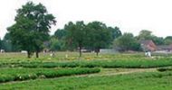 Garten- / Landschaftsbau